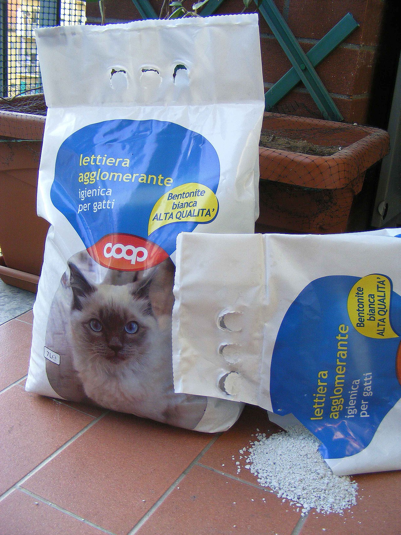 Areia de gato tipo bentonita branca em recipiente