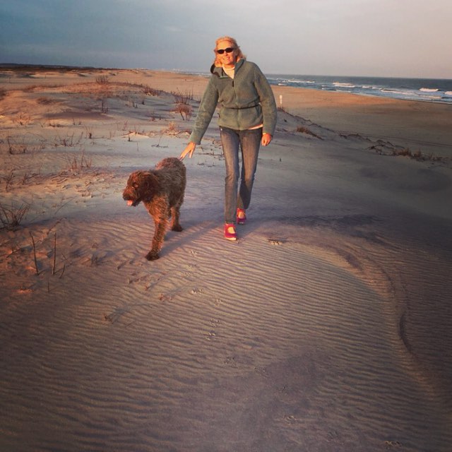 Cachorro caminhando na areia da praia