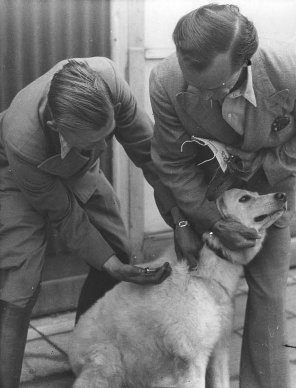 Vacinação de cachorro contra cinomose em clínica veterinária (foto histórica, Berlim, 1947)