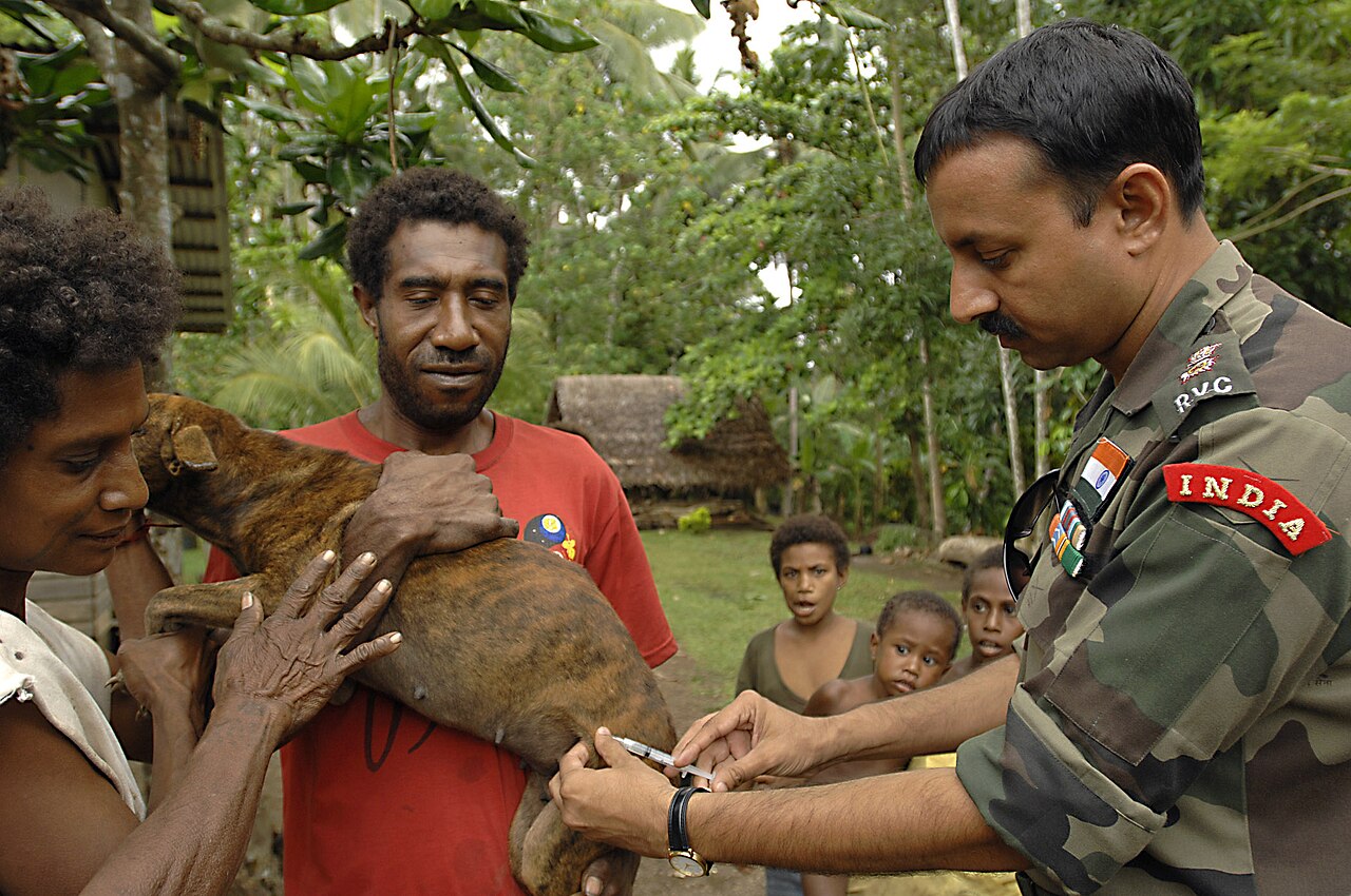 Veterinário aplica vacina em cachorro em programa de assistência veterinária