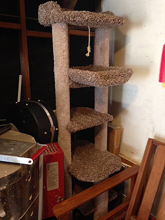 Arranhador em torre com plataformas para gato
