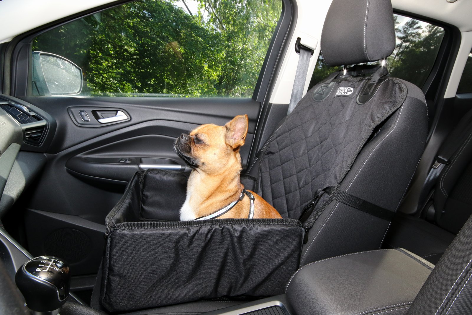 Cachorro em assento de segurança dentro do carro para viagem
